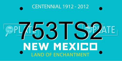 753TS2 New Mexico License Plate