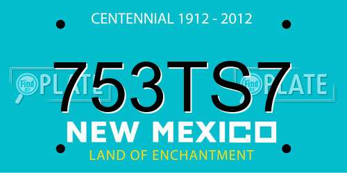 753TS7 New Mexico License Plate
