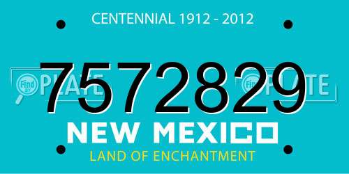 7572829 New Mexico License Plate