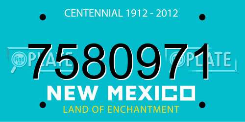 7580971 New Mexico License Plate