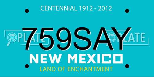 759SAY New Mexico License Plate