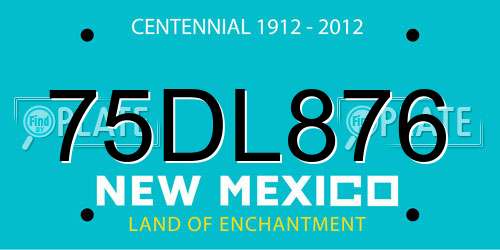 75DL876 New Mexico License Plate