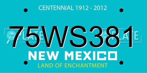 75WS381 New Mexico License Plate