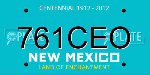 761CEO New Mexico License Plate