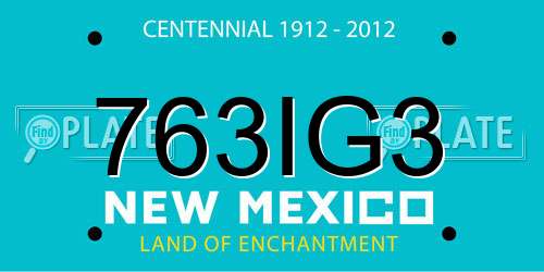 763IG3 New Mexico License Plate