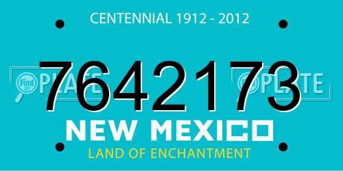 7642173 New Mexico License Plate
