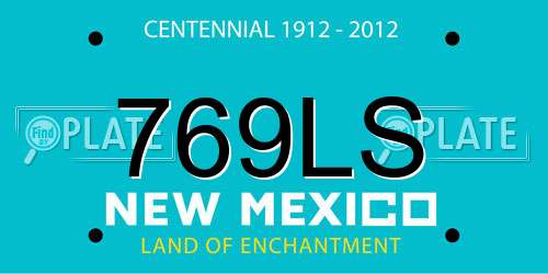 769LS New Mexico License Plate
