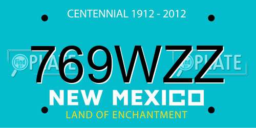 769WZZ New Mexico License Plate