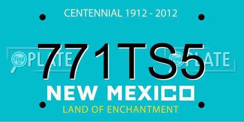 771TS5 New Mexico License Plate