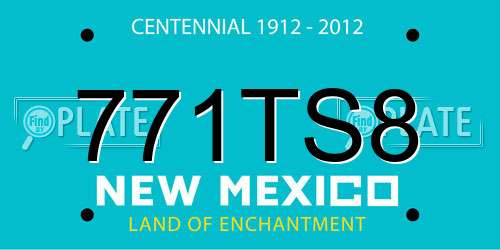 771TS8 New Mexico License Plate