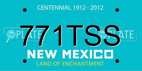 771TSS New Mexico License Plate