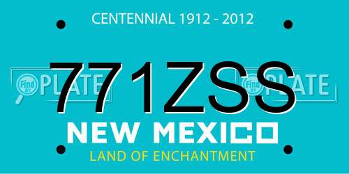 771ZSS New Mexico License Plate