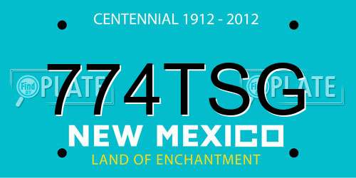 774TSG New Mexico License Plate