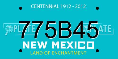 775B45 New Mexico License Plate