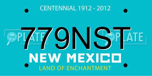 779NST New Mexico License Plate
