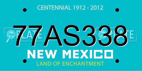 77AS338 New Mexico License Plate