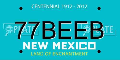 77BEEB New Mexico License Plate