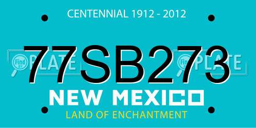 77SB273 New Mexico License Plate