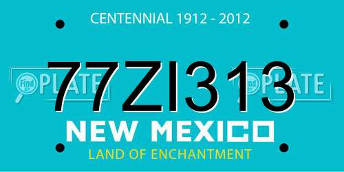 77ZI313 New Mexico License Plate