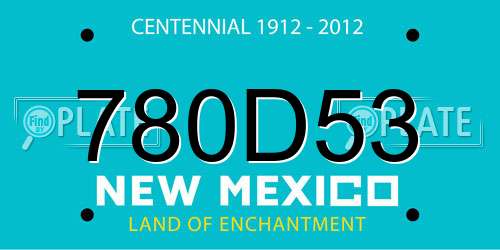 780D53 New Mexico License Plate