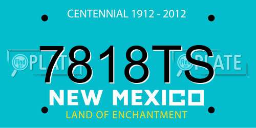 7818TS New Mexico License Plate