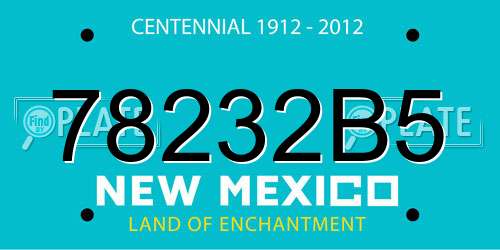 78232B5 New Mexico License Plate