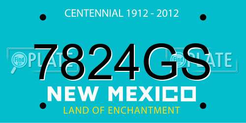 7824GS New Mexico License Plate