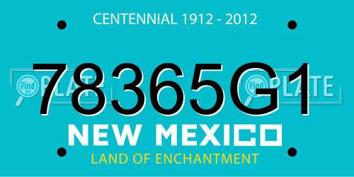78365G1 New Mexico License Plate