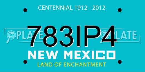 783IP4 New Mexico License Plate