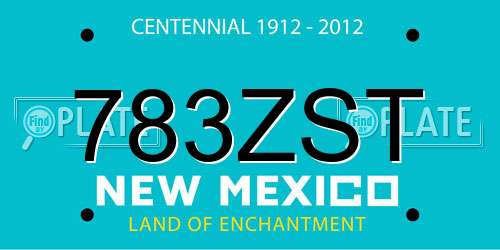 783ZST New Mexico License Plate