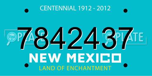 7842437 New Mexico License Plate