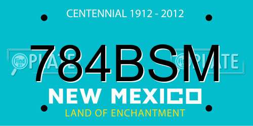 784BSM New Mexico License Plate