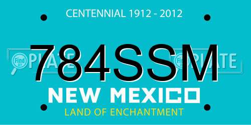 784SSM New Mexico License Plate