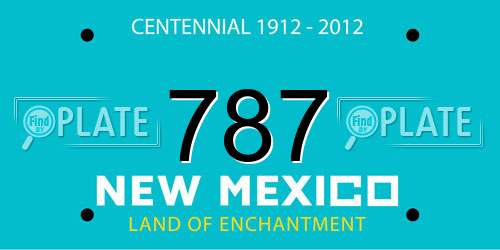 787 New Mexico License Plate