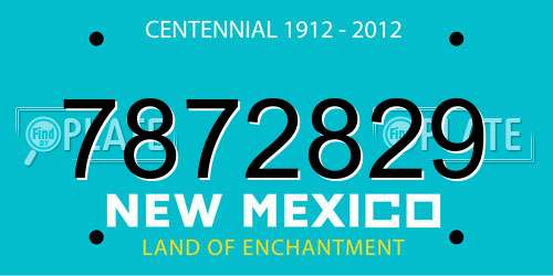 7872829 New Mexico License Plate