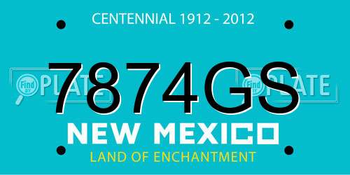 7874GS New Mexico License Plate