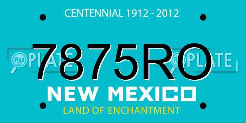 7875RO New Mexico License Plate