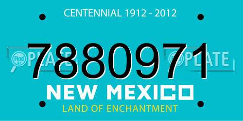 7880971 New Mexico License Plate