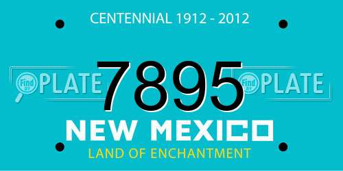 7895 New Mexico License Plate