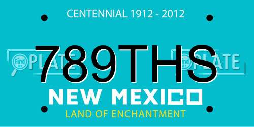 789THS New Mexico License Plate