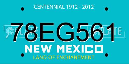 78EG561 New Mexico License Plate