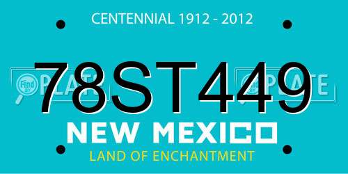 78ST449 New Mexico License Plate