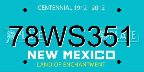 78WS351 New Mexico License Plate