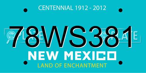 78WS381 New Mexico License Plate
