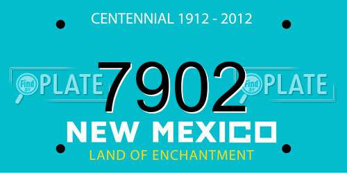7902 New Mexico License Plate