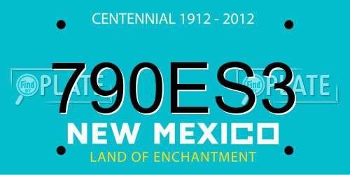 790ES3 New Mexico License Plate