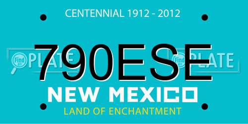 790ESE New Mexico License Plate