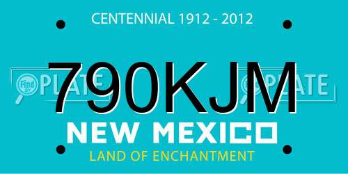790KJM New Mexico License Plate