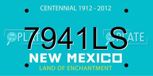 7941LS New Mexico License Plate