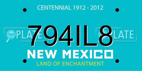 794IL8 New Mexico License Plate